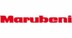 Marubeni Group (Japan)